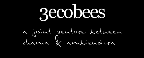 3ecobees-venture1.gif